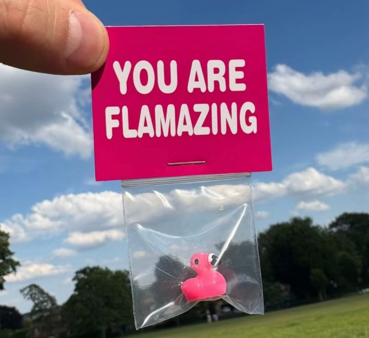 You Are FLAMAZING gift