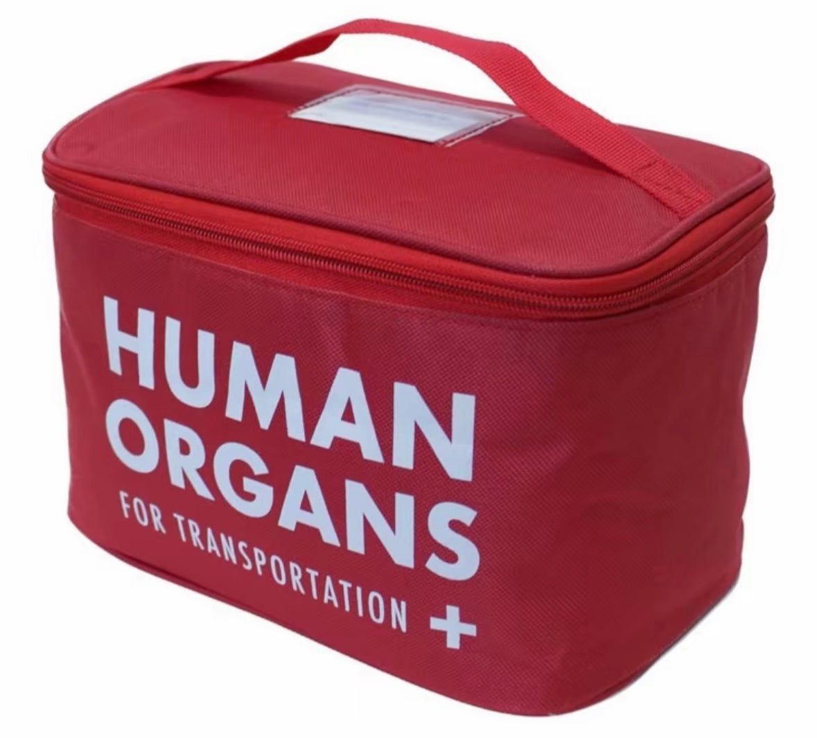 Human Organs Inside lunch box
