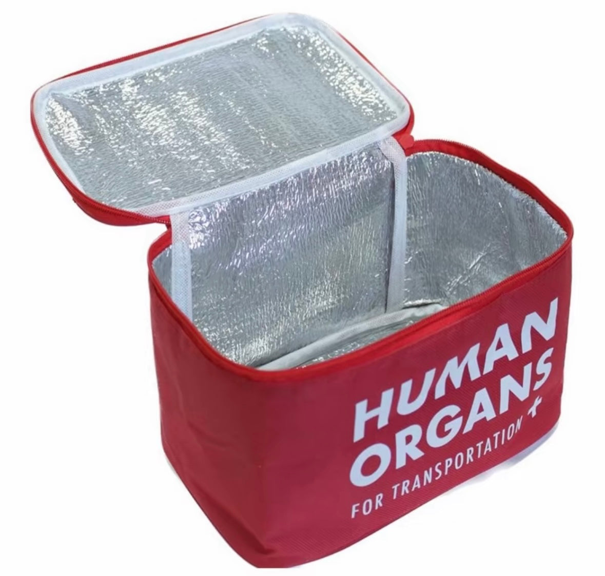 Human Organs Inside lunch box