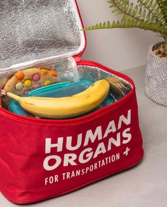 Human Organs Inside lunch box