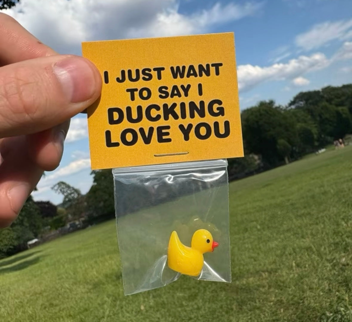 I Ducking Love You gift